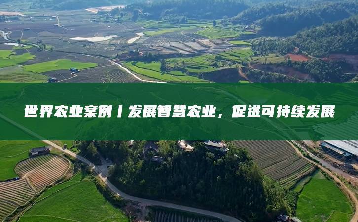 但目前仍是展示功能大于实际生产效果