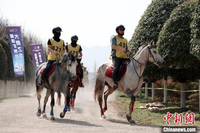 陕西：马术运动遇见古韵茶乡 促文体旅融合发展